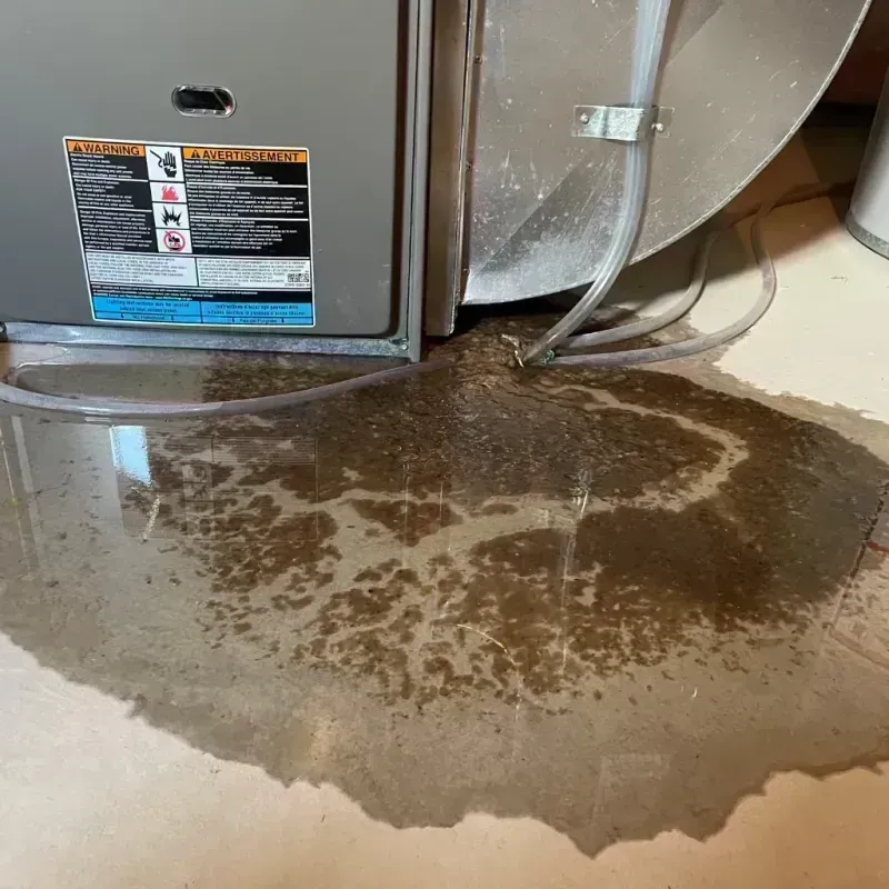 Appliance Leak Cleanup in Steger, IL